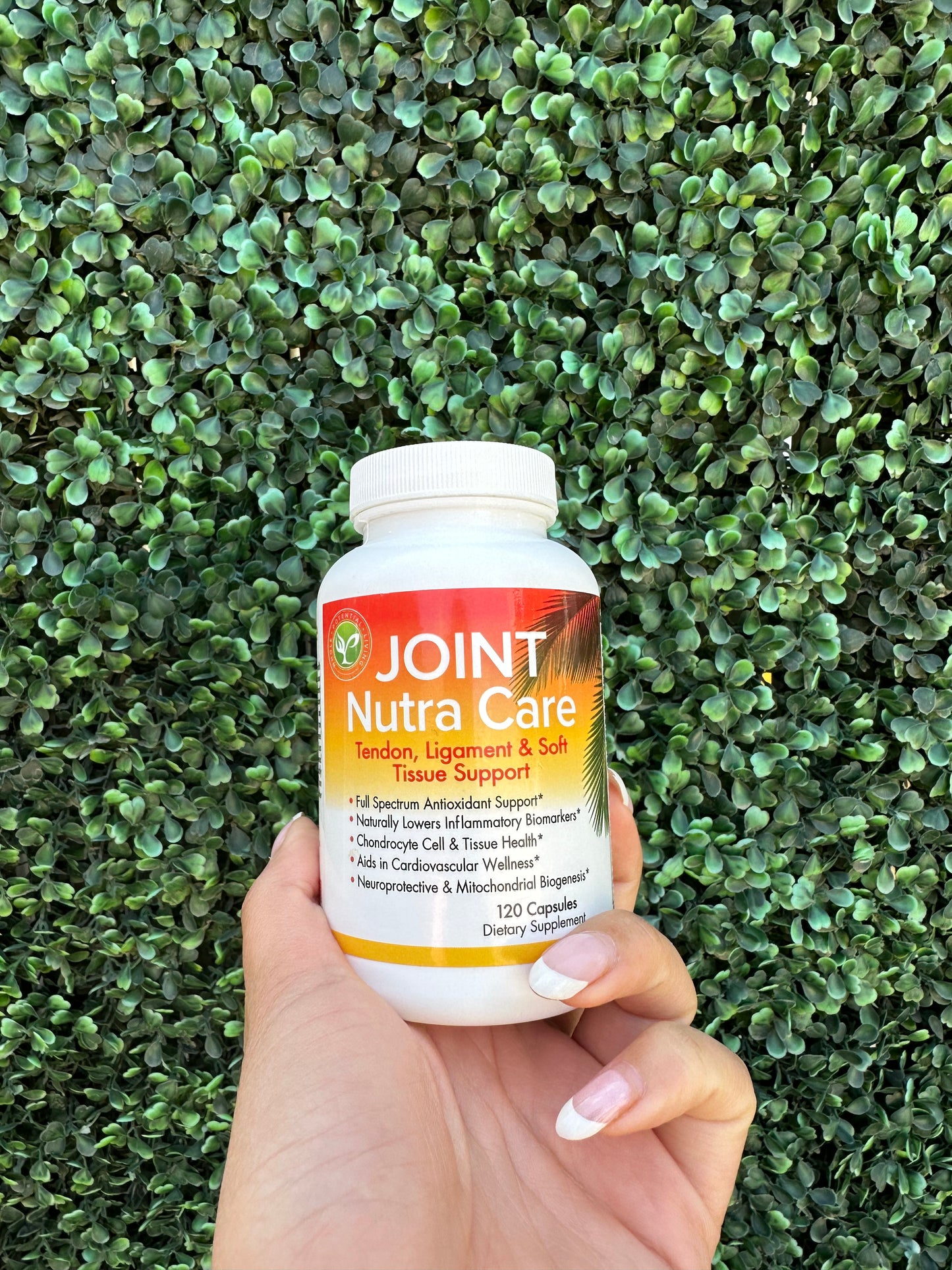 Joint Nutra Care Formula 2